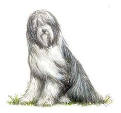 a black and white drawing of a dog sitting on the ground with it's head down