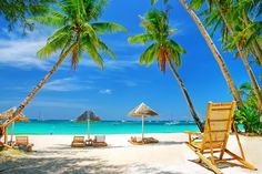 chairs and umbrellas on the beach under palm trees