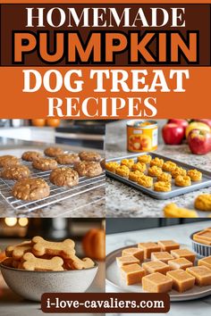 homemade pumpkin dog treat recipe with text overlay