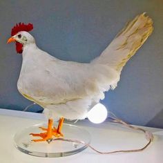 a white chicken standing on top of a glass plate next to a lightbulb