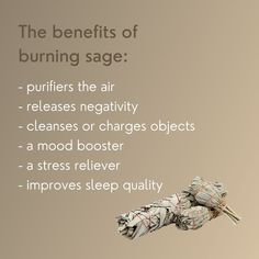 Benefits Of Smudging Sage, When To Burn Sage, White Sage Benefits, Smudging Benefits, Benefits Of Burning Sage, White Sage Smudging, Sage Burning, Spiritual Signs