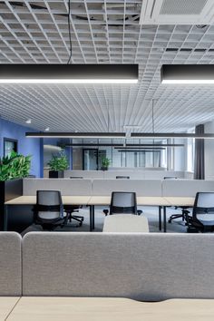 an empty conference room with chairs and desks in the foreground, along with plants on the other side