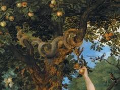 a painting of an apple tree with apples being picked from it by a person reaching for the fruit