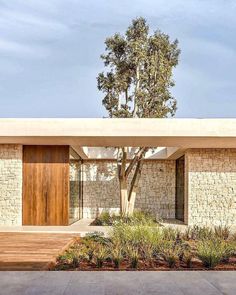 a house with a tree in front of it and some plants on the ground outside