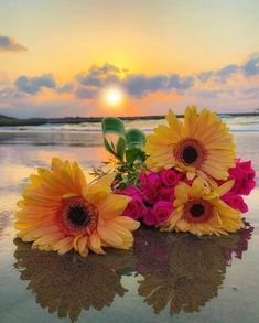 yellow and pink flowers sitting on top of a beach next to the ocean at sunset