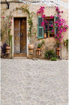 a man riding a skateboard down a street next to a building with flowers growing on it