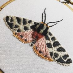 a close up of a small moth on a white cloth with black and red details