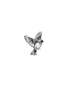 a black and white photo of a bird flying