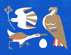 two birds are standing next to each other on a blue background with an egg in the foreground