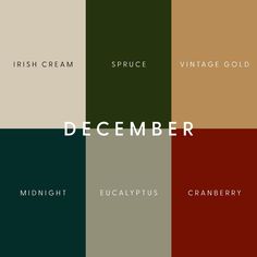 the color scheme for december in different shades