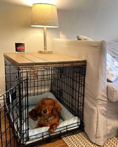 a brown dog laying in a cage on the floor next to a couch and lamp