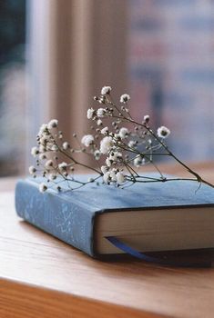 a book sitting on top of a wooden table next to a window sill filled with white flowers