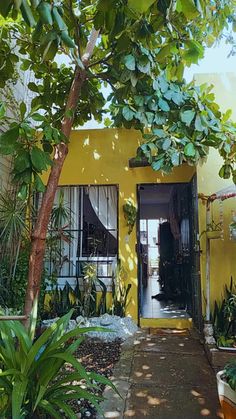 the entrance to a yellow house with potted plants and trees in front of it