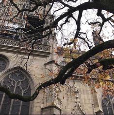 an old building with many windows and trees in front