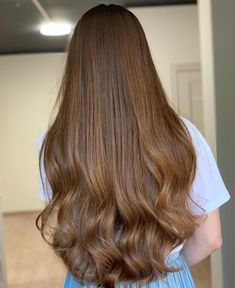 Light Chestnut Hair Color, Chocolate Copper Hair, Golden Brown Hair Color, Long Shiny Hair, Honey Brown Hair, Brown Hair Looks, Brown Hair Balayage