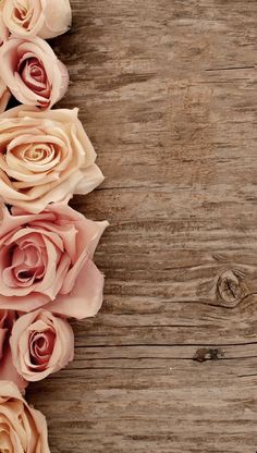 some pink roses are laying on a wooden surface with space for text or image to be added