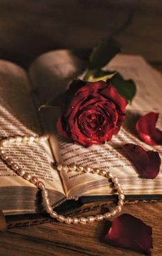 a red rose sitting on top of an open book next to a chain and pearls