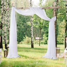 an outdoor wedding setup with white drapes and chairs in the grass, surrounded by birch trees