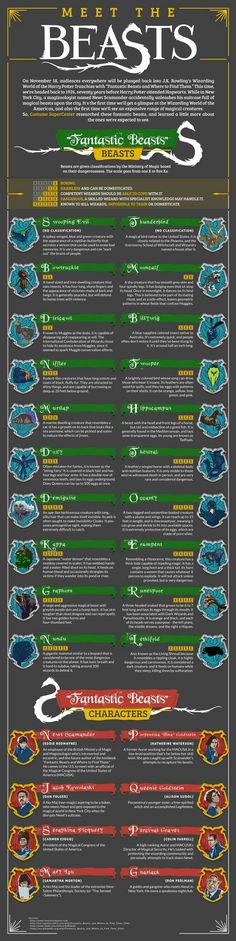 an info sheet with different types of boats