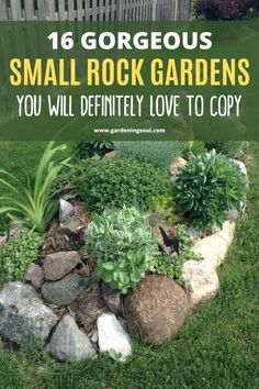 small rock garden with text overlay that reads, 16 gorgeous small rock gardens you will definitely love to copy