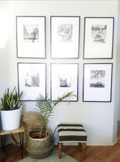 a living room with pictures on the wall and potted plants in front of it