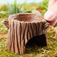 a hand is touching the base of a tree stump