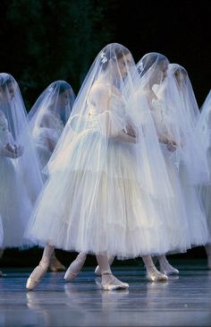 several ballerinas in white tulle dresses and veils are walking on stage