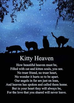 cats silhouetted against the night sky with stars in the background and poem written below