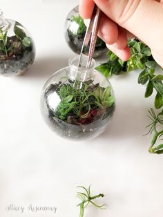 someone is holding a plant in a glass vase with water and dirt inside it, while another hand holds a straw