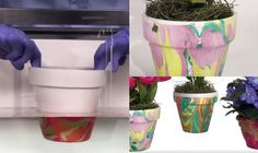 four images show different types of flower pots with flowers in them, and one has purple gloves on it