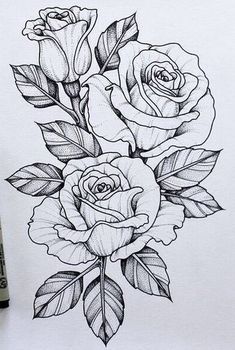 a drawing of three roses with leaves on the bottom and one flower in the middle