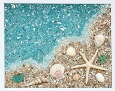 shells and starfish on the beach with blue water