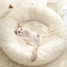 a white cat laying on its back in a pet bed with fluffy fur around it