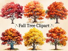 fall tree clipart with different colors and sizes