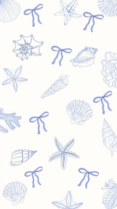 an image of sea shells drawn in blue on white paper with ribbon tied around the edges