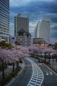 a city street with cherry blossom trees in the foreground and skyscrapers in the background