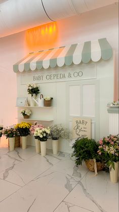 flowers and plants are displayed in front of the baby's opera & co store