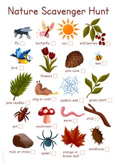 a printable nature scavenger hunt for kids with pictures and words on it