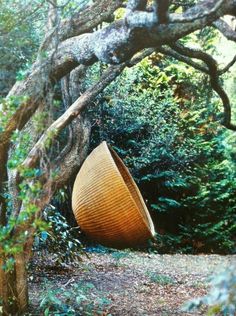 a large wooden basket sitting in the middle of a forest next to a tall tree