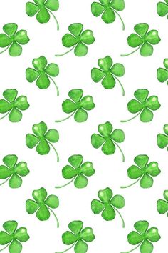 four leaf clovers on a white background for st patrick's day wallpaper