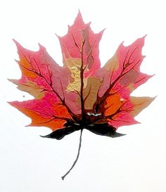 an orange and red leaf floating in the air