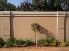 a small tree is growing in the corner of a fenced off area with brick pavers