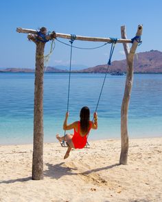 Memories of Komodo National Park 🌸 This trip is one for the books! When visiting Komodo National Park in Indonesia we definitely had high expectations (we know, it’s dangerous to have those haha), but they certainly were met! Besides seeing the famous Komodo dragon we also got spoiled with the marine life, insanely beautiful landscapes and of course the company ☺️ Adding this trip to your Indonesia itinerary is in our opinion 100% worth it. Just be aware that the Padar Island viewpoint is v... Indonesia Itinerary, High Expectations, The Marine, Marine Life, Worth It