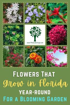 flowers that grow in florida year - round for blooming garden plants and trees, with text overlay reading flowers that grow in florida year - round for a blooming garden