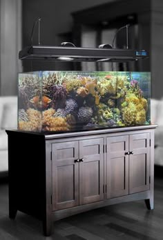 a fish tank sitting on top of a wooden cabinet in front of a white couch