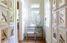 a hallway with pictures on the wall and a chair next to an open door that leads to another room