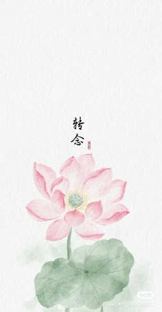 a watercolor painting of a pink lotus flower with chinese characters on the back ground