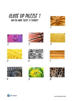 close up puzzle 1 can you name these 10 things? - printable worksheet