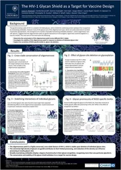 Research poster                                                                                                                                                                                 More Science Information Poster, Qualitative Research Poster Design, Medical Research Poster, Scientific Research Poster Design Layout, Science Innovation Poster, Powerpoint Poster Template, Powerpoint Poster