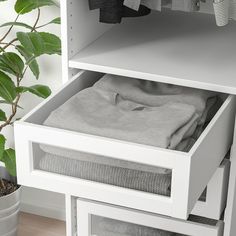 an open drawer with clothes in it next to a potted plant